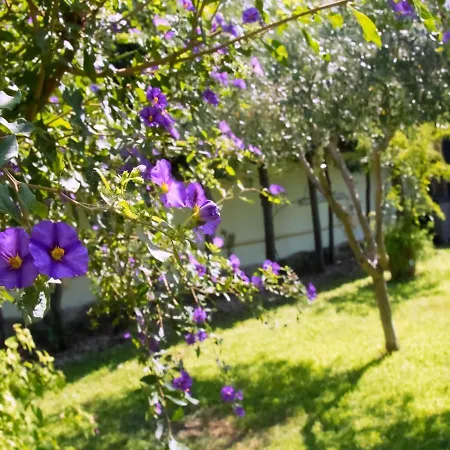 ファームステイ A Casa Tua *