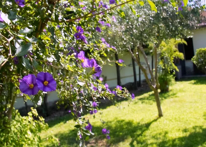 ファームステイ A Casa Tua *